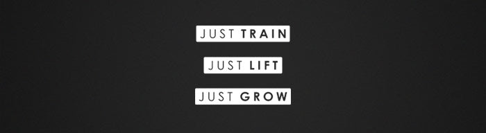 Just Train