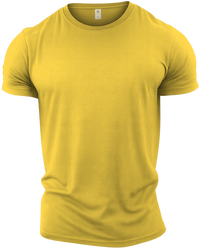 GYMTIER-CREWNECK-GD001 - DAIS