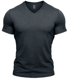GYMTIER-VNECK-GD010 - DHEA