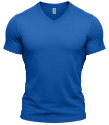 GYMTIER-VNECK-GD010 - ROYA