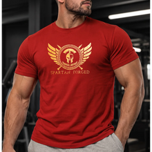 front | Model 1 | Primary | Red