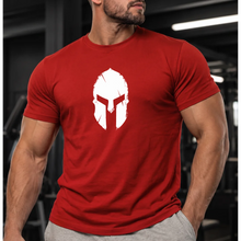 front | Model 1 | Primary | Red