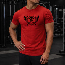 front | Model 2 | Primary | Red