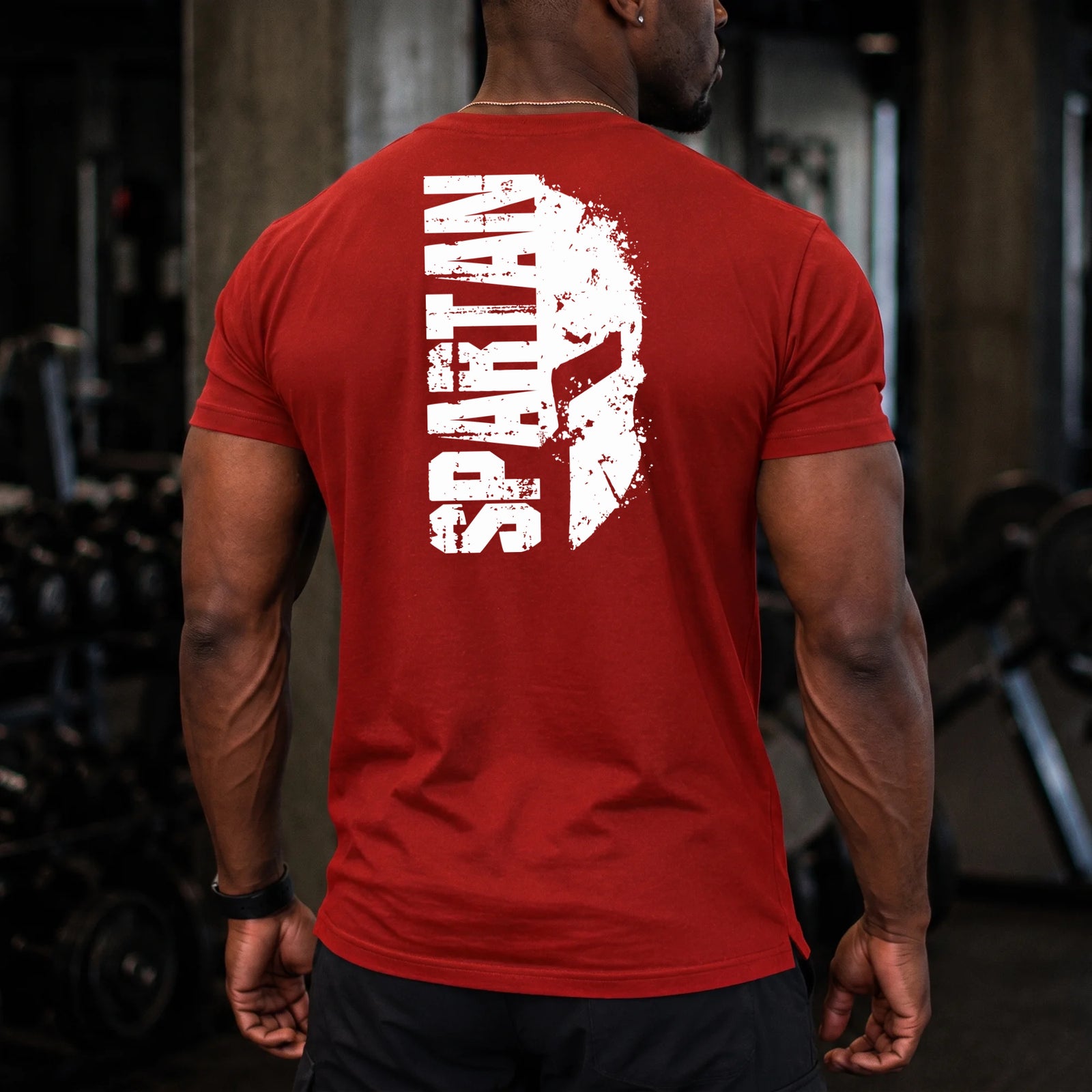 back | Model 6 | Primary | Red