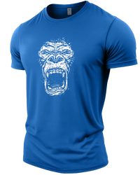Royal Blue | Angle