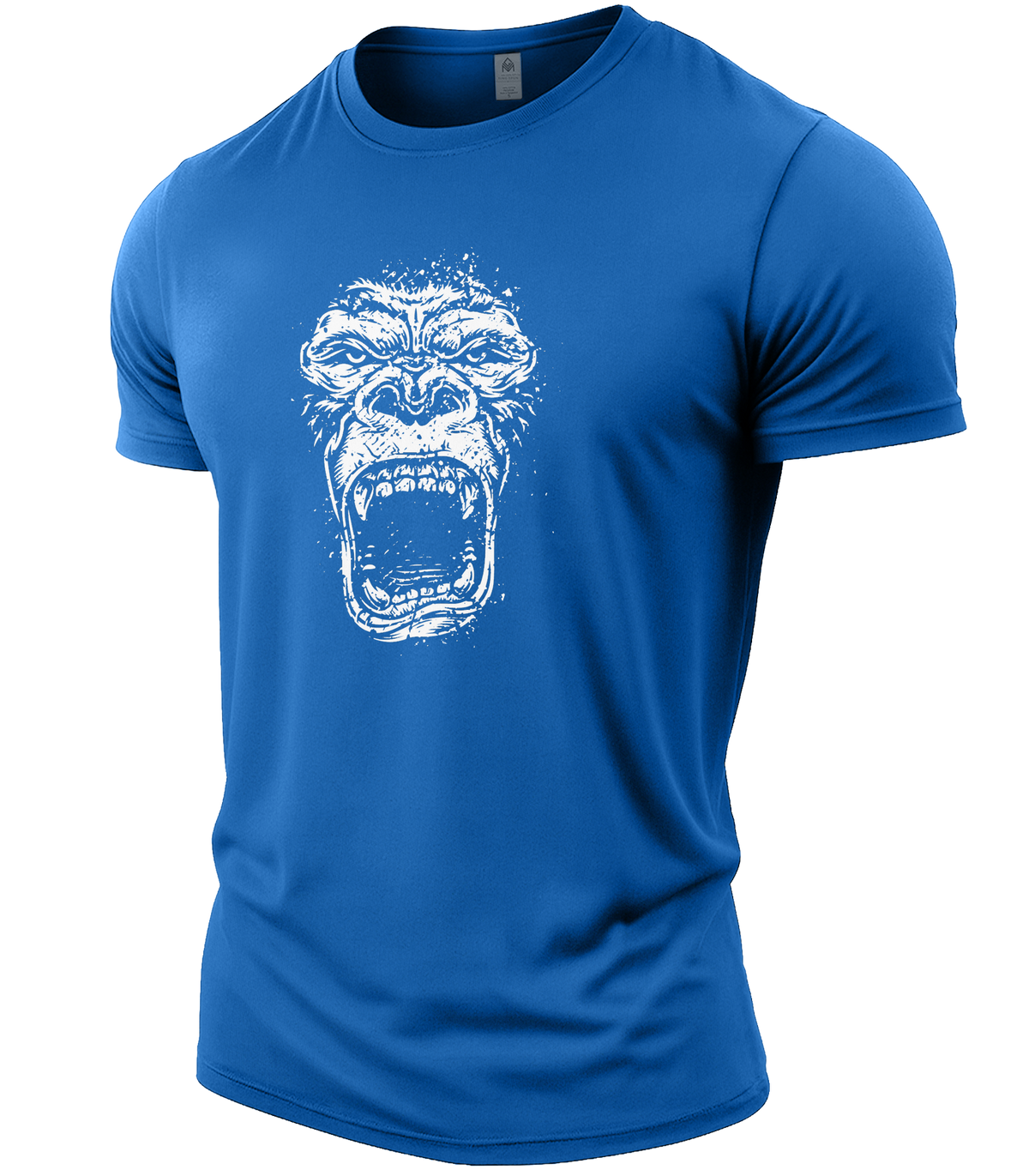 Royal Blue | Angle