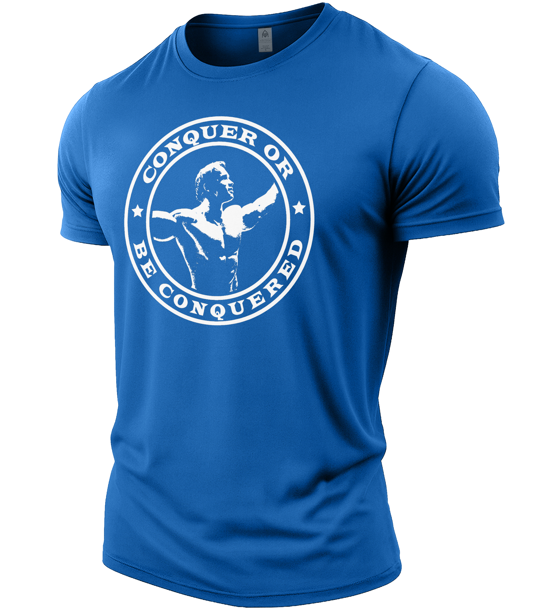 Royal Blue | Angle