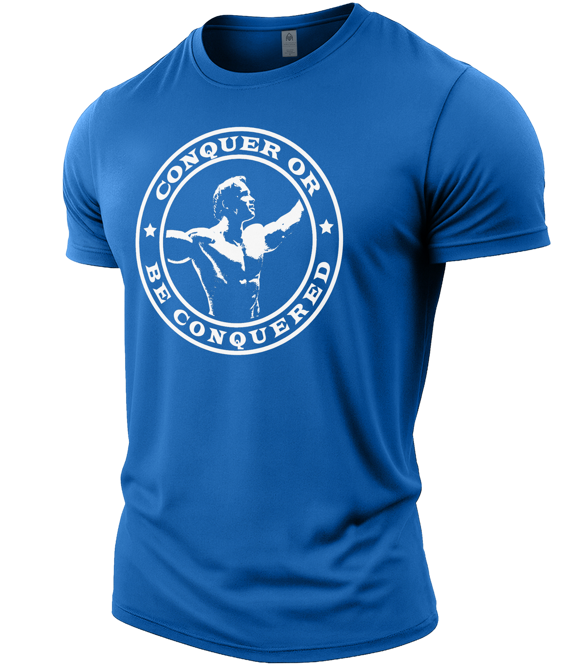 Royal Blue | Angle
