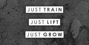 Just Train